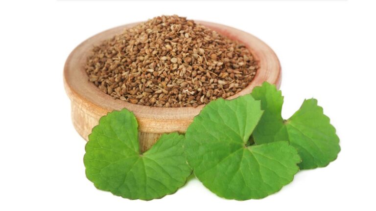 ajwain se period kaise laye