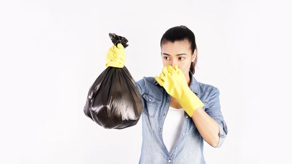 Remove the smell of dustbin with these things present in the kitchen