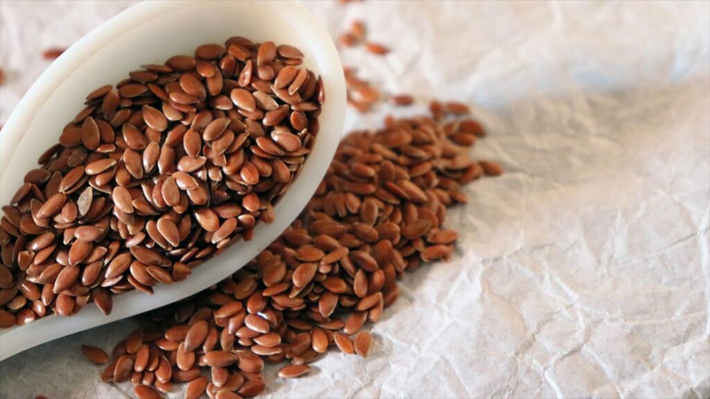 Flax Seeds Health Benefits in Hindi