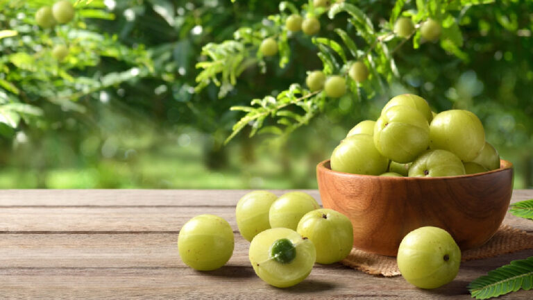 आंवला: सर्दियों का सुपरफूड और इसके आश्चर्यजनक स्वास्थ्य लाभ